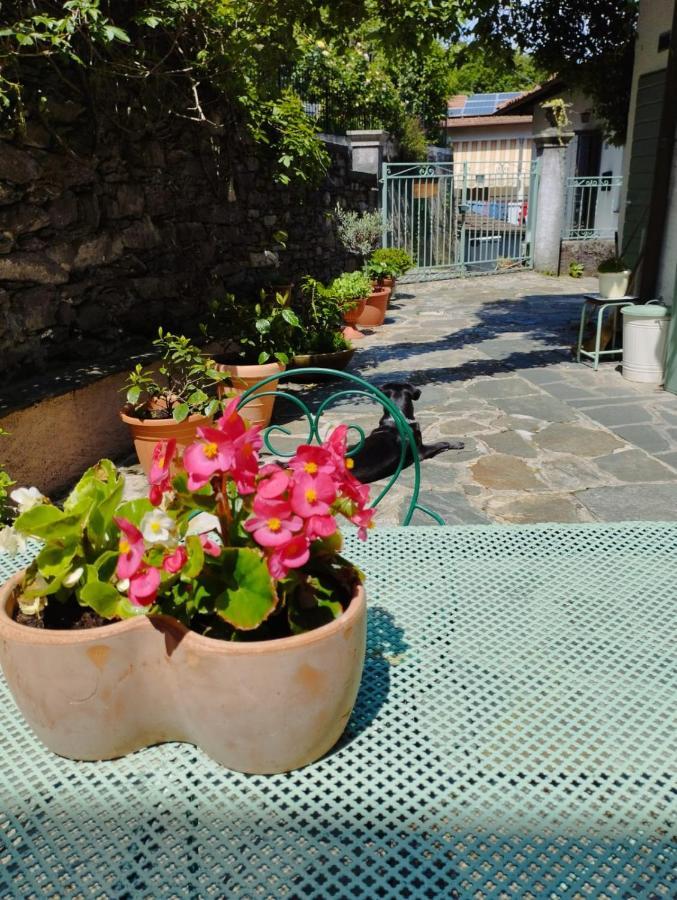 B&B Il Poggiolo Stresa Exteriör bild